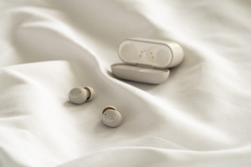 Final ZE500 - True Wireless In Ear Isolating ASMR Earphones