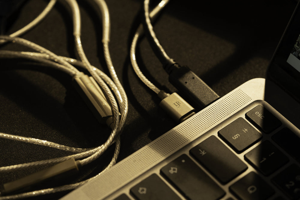 iFi GO Cable - Hi-Fi DAC/Amp cable