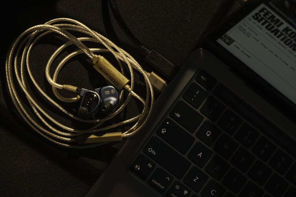 iFi GO Cable - Hi-Fi DAC/Amp cable