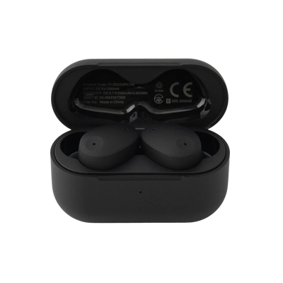 Final ZE300 - True Wireless Active Noise Cancelling Earphones
