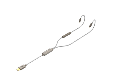 iFi GO Cable - Hi-Fi DAC/Amp cable - GO Cable