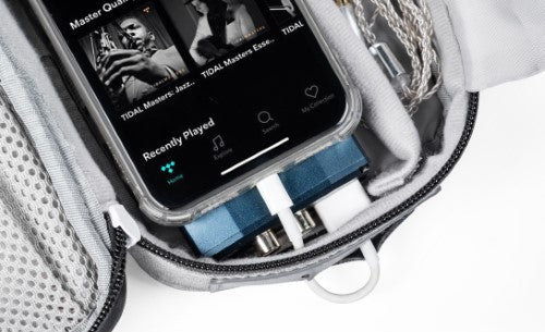 iFi Audio iTraveller - Multi-Purpose Travel Case For Portable DACs & Amps