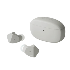 2個セット final ZE2000 ワイヤレスイヤフォン ASH GRAY 完全ワイヤレスイヤホン アッシュグレー FI-ZE2DPLTW-ASH-GRAY